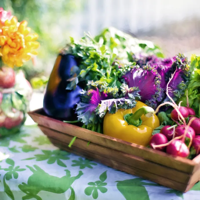 autoimmune nutritionist london